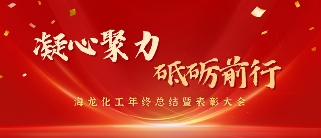 表彰 | 凝心聚力，砥礪前行，海龍化工年終總結(jié)暨表彰大會(huì)圓滿舉行